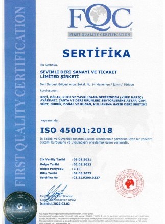 ISO_45001-2018_T-2022