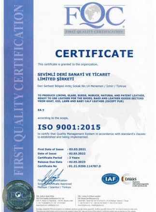 ISO_9001-2015_E-2022